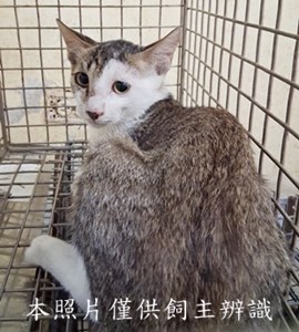 11508200003收-民生路