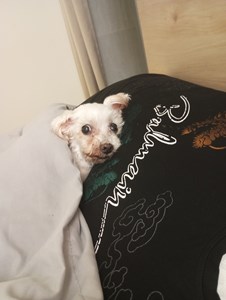 IMG_20241230_055916.jpg