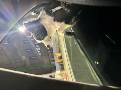 IMG_6534.jpeg