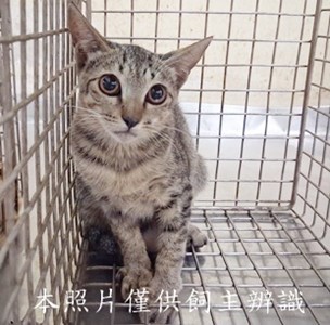 11508210011收-4