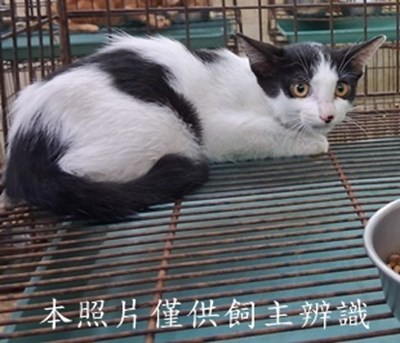 11508210017收-26