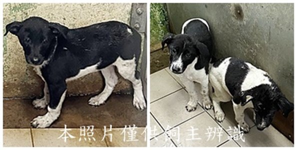 11508240007-9收