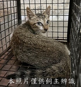 11508240010收4