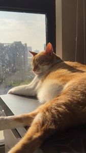 IMG_5868.jpeg