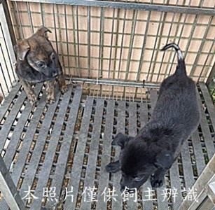 11508240012-13收