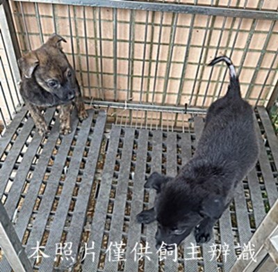 11508240012-13收
