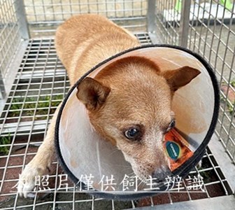 11508250001收R