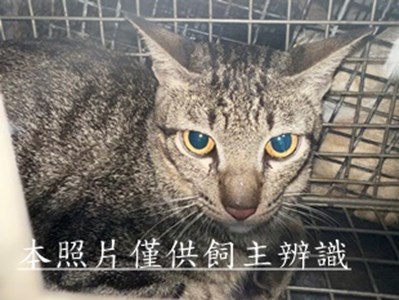 11508250006收13