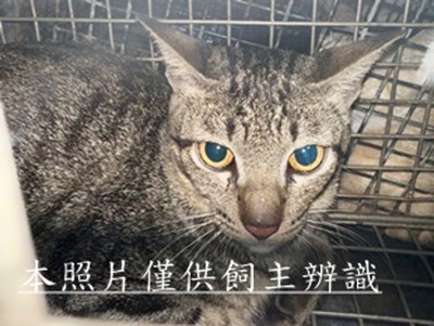 11508250006收13