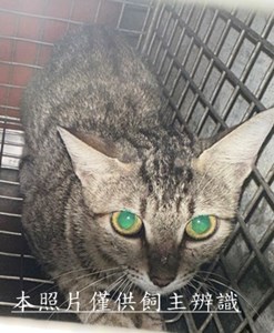 11508250007收65