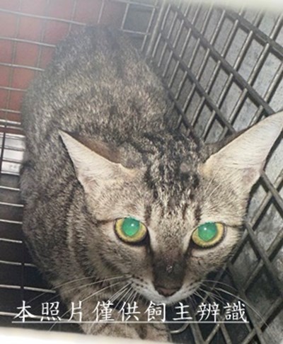 11508250007收65