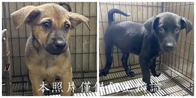 11508250008-9收