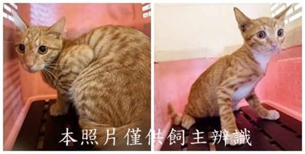 11508250010-11收