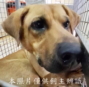 11508260019收-元23