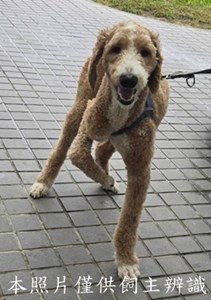 11508276005_3F12