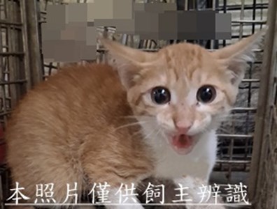 11508280007收17