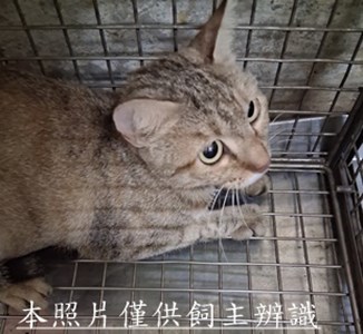 11508280008收77