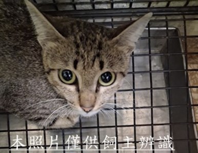 11508280009收1