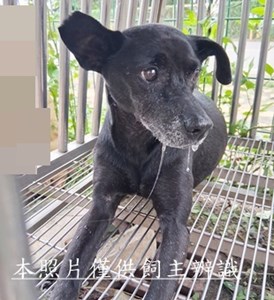 11508280014收E6