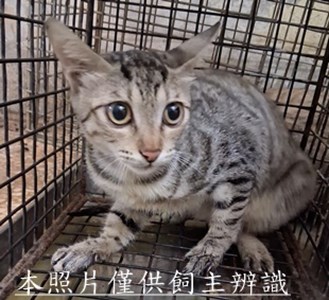 11508290004收-12