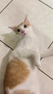 IMG_0206.jpeg