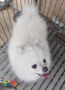 11509010019收-幼41.jpg