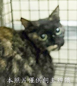 11509020004收11