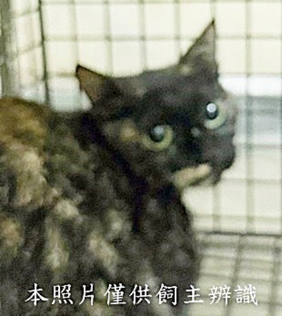 11509020004收11