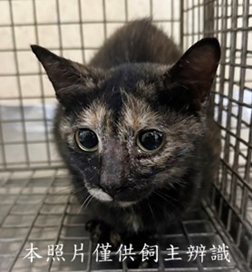 11509020006收95