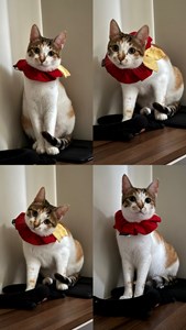9C4643CC-3C67-46F1-A55C-200A48F5F082.jpeg