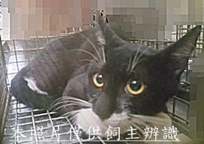 11509030001收-96