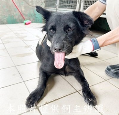 11509030013收28