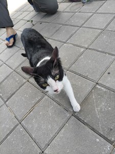 IMG20260905103308.jpg