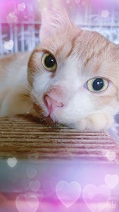 IMG_7324.jpeg
