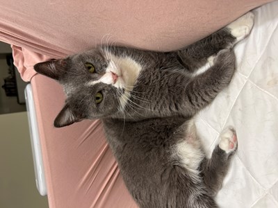 image.jpg (6)