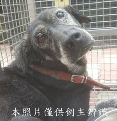 11509050002收-T
