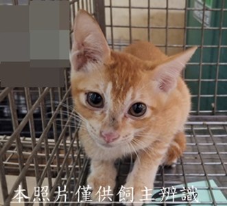 11509080001收-98