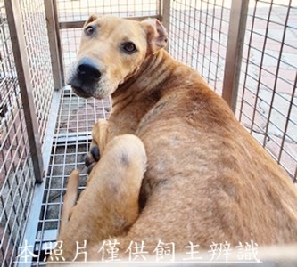 11509080012收-R