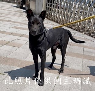 11509096005拾1