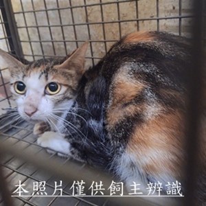 11509100001收4