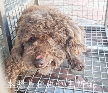 11509100002收W