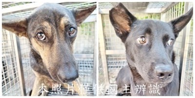 11509120004-5收