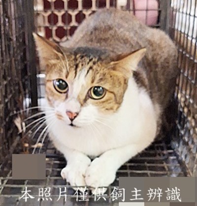 11509120011收98