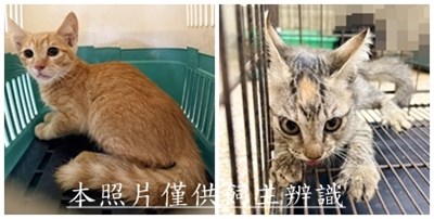 11509140004-5收
