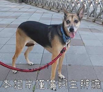 11509146005_棄養