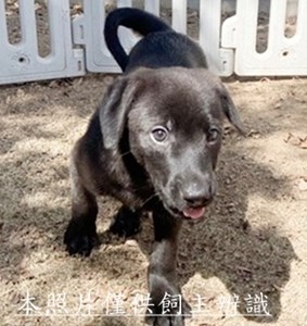 11501018005-聖心-7