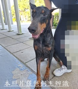11509150020收棄