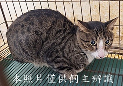 11509150024收91