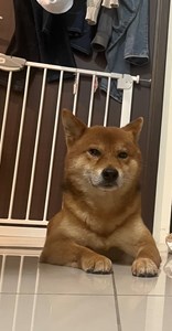 IMG_0176.jpeg
