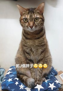 IMG_2425.jpeg